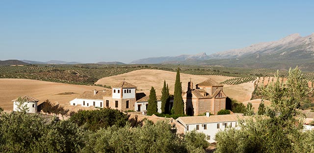 General view of the Cortijo amidst olive groves and wheat fields.