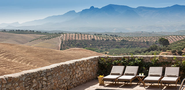 Ausblick vom Poolbereich auf die umliegenden Olivenhaine und Weizenfelder vor der Kulisse der Sierra Arana.